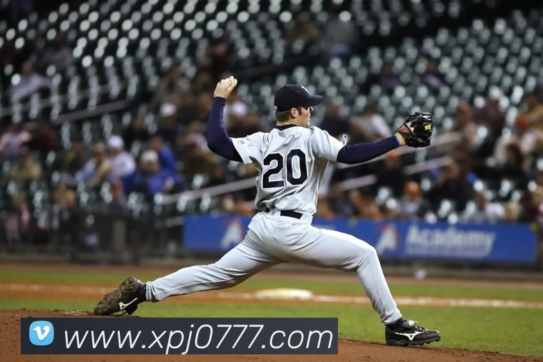 新葡京在线网址平台生态图